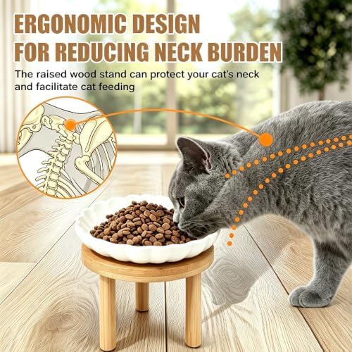 Elevated Cat Bowls with Bamboo Stand, Ceramic Raised Cat Bowl Set of 2, 5.9 Inch Whisker Friendly Anti Vomiting Cat Food Bowls for Dry and Wet Food - Image 4