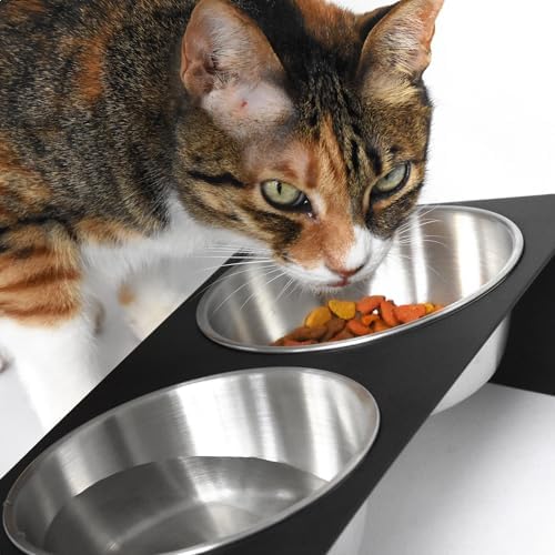 xympo Elevated Pet Bowl, for Cats and Small Dogs - Image 3