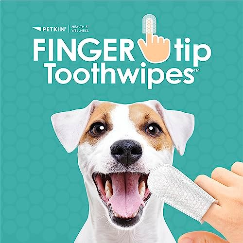 Petkin Fingertip Tooth Wipes for Dogs and Cats, 50 Finger Wipes - Slip-On, Snug Fit, Micro-Bristle Fabric - Cleans Teeth, Gums, Plaque & Tartar - Convenient, Ideal for Home and Travel - Fresh Mint - Image 2