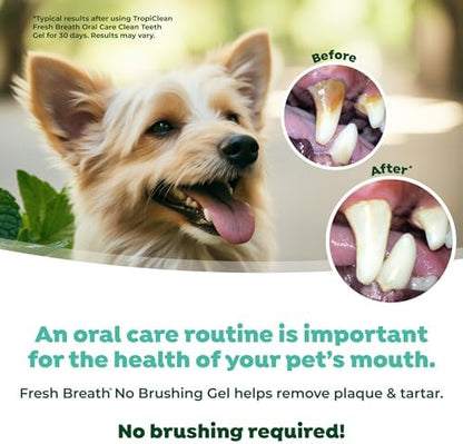 TropiClean Clean Teeth Gel for Dogs | Dog Dental Care | Dog Toothpaste | Breath Freshener | Easy Teeth Cleaning | Made in the USA | 2 oz - Image 5