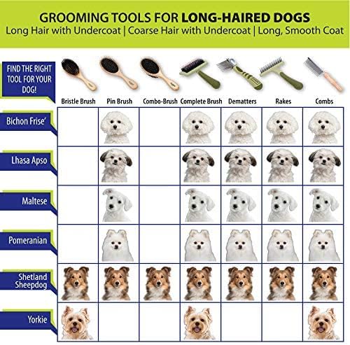 Coastal Pet Safari Comfort Grip Curry Brush for Dogs - Dog Bath and Shampoo Brush and Massager for Indoor & Outdoor Dogs with Short Hair - One Size - Image 4