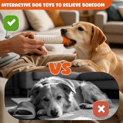 Wdmiya Funny Dog Toys for Small Medium Dogs, Squeaky Interactive Dog Toy - Image 6