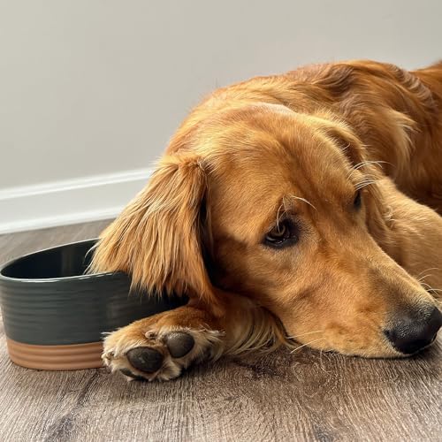 Mora Ceramic Pet Bowl Size Medium - Food/Water Dish for Large Puppies, Cats, Retrievers, Medium Sized Dogs, ect. 28oz or 4 Cups - Basic Bowls for Your Dog or Cat, Mix and Match for a Set - Charcoal - Image 7