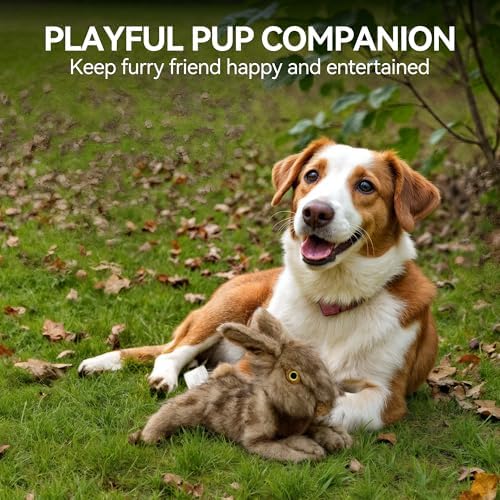 ALL FOR PAWS Brown Rabbit Pet Plush Toys, Dog Squeaker Toy, Large - Image 7