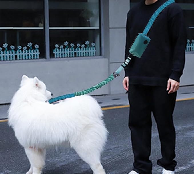 Hands Free Dog Leash for Large Medium Dogs Heavy Duty Bungee Reflective Adjustable Waist Leashes for Walking Running with Zipper Pouch 6-9FT (Green with 6-9FT)