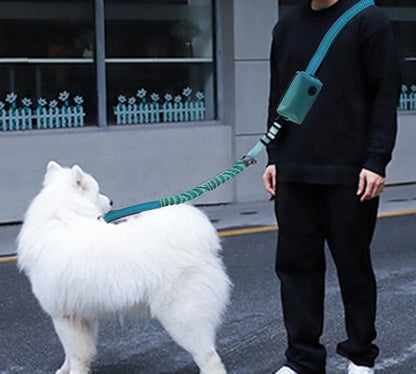 Hands Free Dog Leash for Large Medium Dogs Heavy Duty Bungee Reflective Adjustable Waist Leashes for Walking Running with Zipper Pouch 6-9FT (Green with 6-9FT)