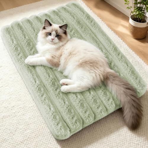 Cat Bed Mat for Indoor Cats, Self Warming Plush Cat Bed, 23.6"x15.7" Green by NODARKO