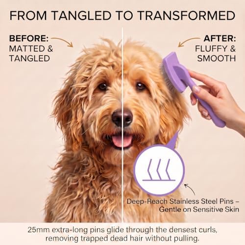 Slicker Brush for Dogs, Doodles, Poodles & Long Haired Cats - Image 4