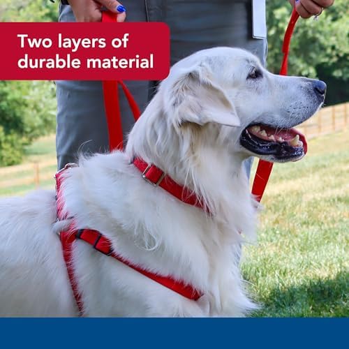 Coastal Pet Double-Ply Dog Leash - Bolt Snap Attachment to Collars and Harnesses - Nylon Dog Walking Leash for Small, Medium and Large Dogs - Red - 1" x 4' - Image 3