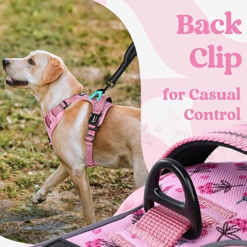 rabbitgoo Dog Harness Medium Sized, Updated Easy On & Off with 3 Buckles - Image 6