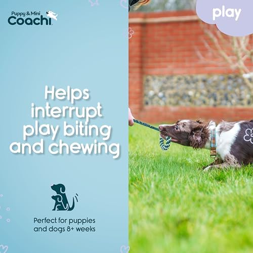 Coachi Puppy & Mini Tuggi Helix - Dog Toy for Tug of War & Play - Image 3