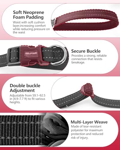3-in-1 Double Dog Leash, Hands-Free Convertible Leash for 1 or 2 Dogs - Image 3