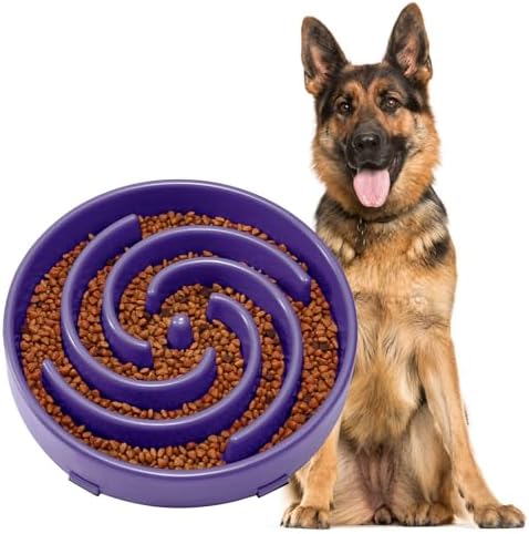 JASGOOD Slow Feeder Bowl for Large Dogs, Anti-Gulping Pet Bowl, Prevents Bloat & Choking by JASGOOD