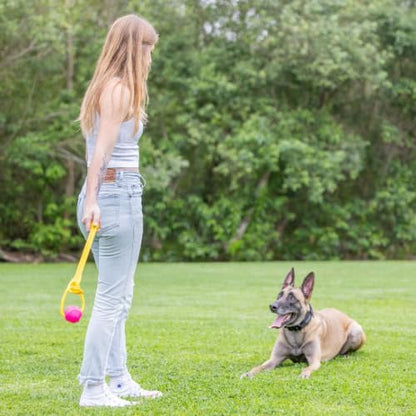 PROJECT HIVE ·PET COMPANY· Looped Ball 2 Pack-SM-Pink/Blue - Image 6