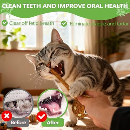 Silvervine Sticks for Cats (5-Pcs), Catnip Lollipop Cat Toy for Indoor Cats, Natural Cat Chew Toys for Kitten Teething and Teeth Cleaning - Image 3