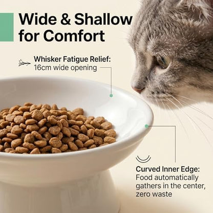 YULL Raised Ceramic Cat Bowls, 6" Wide 2.4" Tall Elevated White Cat Food and Water Dish, Shallow Wide Bowl for Whisker Fatigue Relief (2 Pack) - Image 4