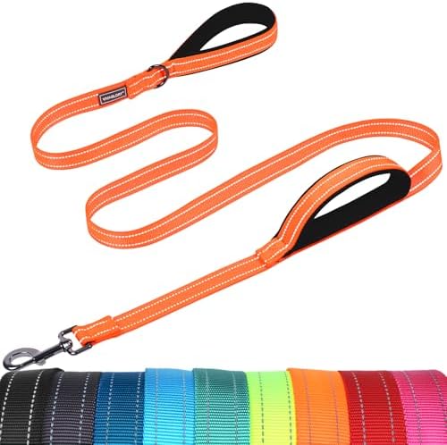 VIVAGLORY Double Handle Dog Leash Twingrip, 6ft x 1in, Orange by VIVAGLORY