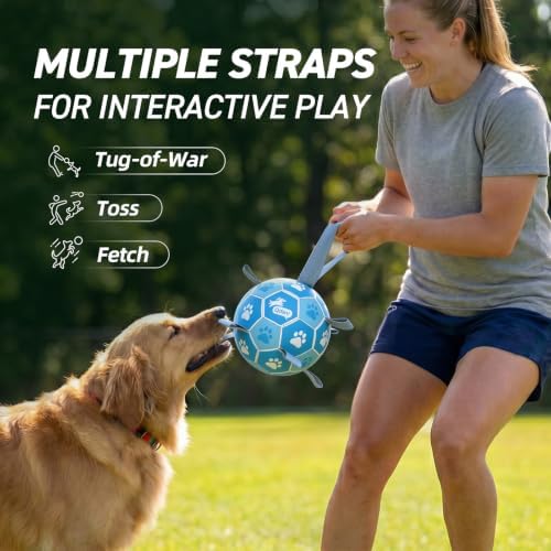 QDAN Dog Balls, 6 Inch Soccer Ball with Straps for Dogs, Outdoor Dog Toys - Image 2
