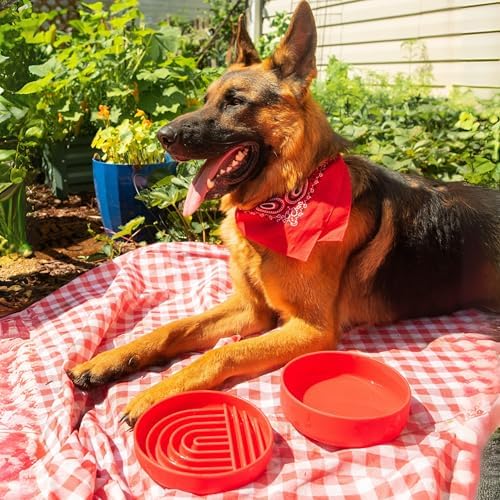 Slow Feeder Dog Bowl - Silicone Dog Bowl, Medium, 7.5" x 1.5" - Cherry - Image 4