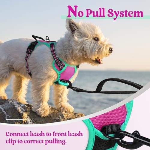 rabbitgoo Dog Harness, No Pull for Small Dogs with 2 Leash Clips, Pet Vest - Image 5