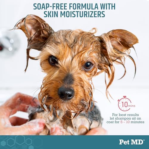 Pet MD Benzoyl Peroxide Shampoo for Dogs, Cats, and Horses - 12oz - Image 4