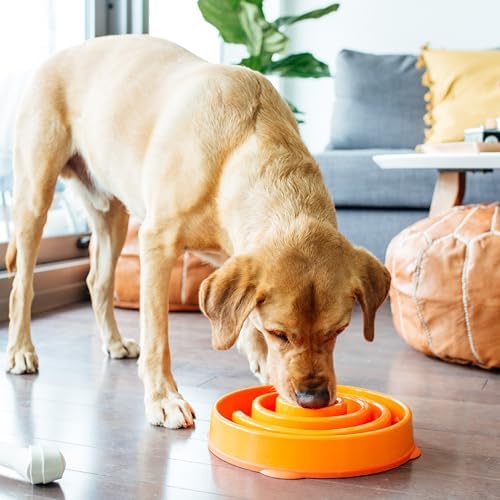 Outward Hound Fun Feeder Slo Bowl – Large 4‑Cup Capacity, Slow Feeding, Medium to Large Dogs, Non‑Slip, Orange, Swirl Pattern - Image 6