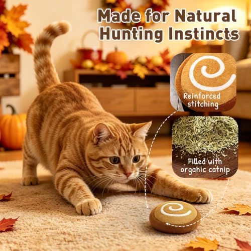 Plush Fall Catnip Toys for Indoor Cats 6 Pack, Pumpkin Shape - Image 3