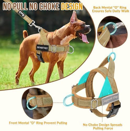 SlowTon No Pull Dog Harness and Leash Set - Heavy Duty, Soft Padded - Image 2