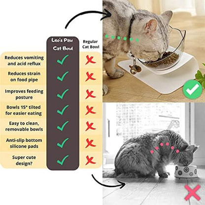 Leo's Paw Anti-Vomiting Orthopedic Cat Bowl Elevated 15° Tilted Cat Food and Water Bowls for Better Digestion Raised Stand with Non-Slip Bottom Detachable Feeding Bowl (Double Clear) - Image 2