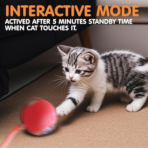 Durable Interactive Cat Toys for Indoor Cats, Smart Automatic Cat Chase Ball Toy, Upgraded Speedy Tail Kitten Toy for Bored Indoor Adult Pets (red, 01) - Image 6