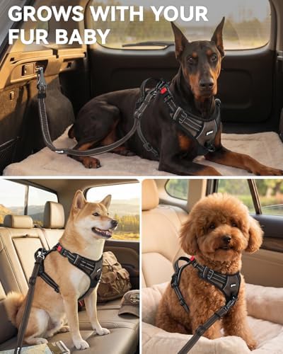 Joytale 3-in-1 Bungee Dog Seat Belt for Car, Medium and Large Dogs, Brown - Image 6