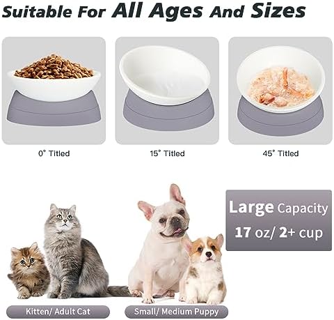 Ravitat 4Pcs Elevated Cat Food Bowl - Adjustable, Anti-Slip & Anti-Noise, Protects Pet's Spine, Thickened Plastic, 17 Oz - Image 3