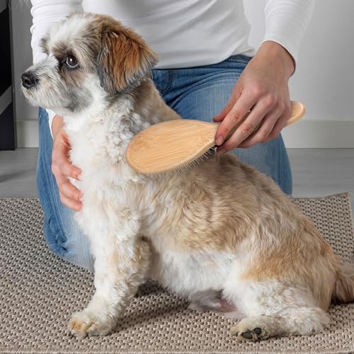 cobee Stainless Steel Pin Dog Brush, Bamboo Handle Grooming Brush 20mm Round Pins Airbag Pet Comb Professional Dog Pin Brush Fur Shedding Comb for Long or Short Hair Cat Dog - Image 6