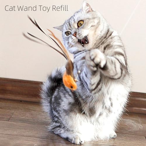 miwoowim 4PCS Feather Bird Cat Wand Refills &,Door Hanging Suction Cup Set - Image 3