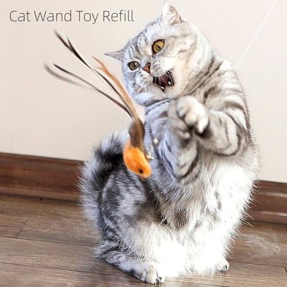 miwoowim 4PCS Feather Bird Cat Wand Refills &,Door Hanging Suction Cup Set - Image 3