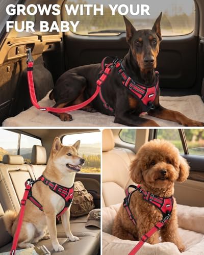 Joytale 3-in-1 Bungee Dog Seat Belt for Car, Medium and Large Dogs, Red - Image 6