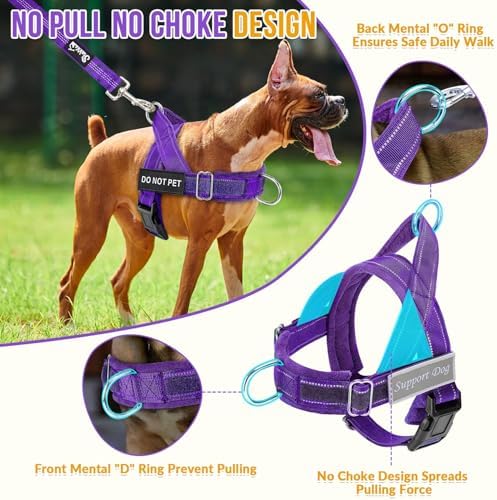 SlowTon No Pull Dog Harness and Leash Set - Heavy Duty, Soft Padded - Image 2