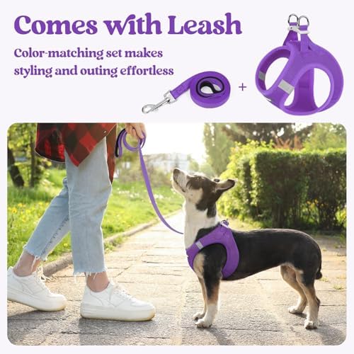 rabbitgoo Dog Harness Small Sized and Leash Set, Step-in Puppy Pet Vest - Image 5