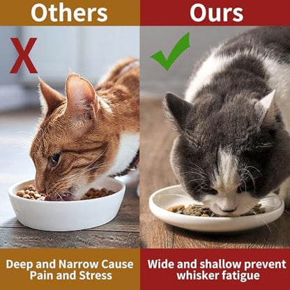 3 PCS Ceramic Cat Bowls, 5.5 in Pet Bowl Cat Dishes for Food and Water, Small Dog Dish(White) - Image 7