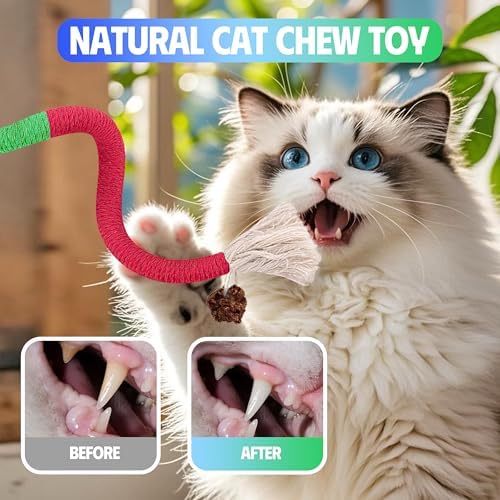 Silvervine Sticks Cat Chew Toys for Indoor Cats Dental Care Teeth Cleaning, Natural Kitten & Cat Teething Toys for Health, Catnip Toys Cat Chew Rope Suitable for All Breeds of Aggressive Chewers Cat - Image 3