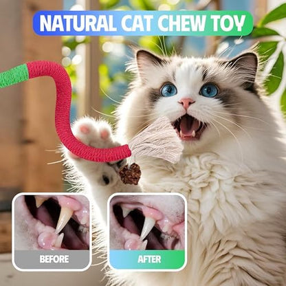 Silvervine Sticks Cat Chew Toys for Indoor Cats Dental Care Teeth Cleaning, Natural Kitten & Cat Teething Toys for Health, Catnip Toys Cat Chew Rope Suitable for All Breeds of Aggressive Chewers Cat - Image 3