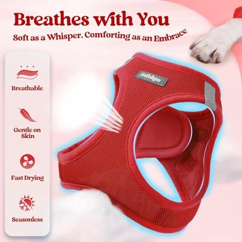 rabbitgoo Dog Harness Small Sized and Leash Set, Step-in Puppy Pet Vest - Image 4