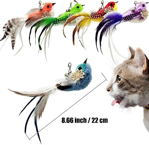 Cat Feather Toys Refill, 5 Pieces Attachments Feathers Bird for Cat Wand - Image 3