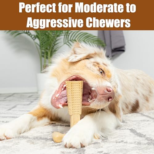 SPOT Bam-Bones Plus T-Bone, Bamboo Fiber & Nylon Dog Chew, Durable for Aggressive Chewers, Non-Splintering, for Adult Dogs & Teething Puppies Under 90lbs, 7in, Chicken Flavor - Image 5