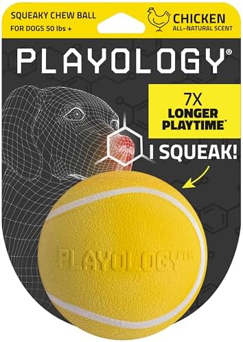 Playology Squeaky Chew Ball Dog Toy - Jumbo, Chicken Scent by Playology