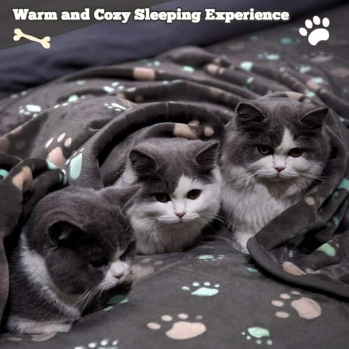 12 Pcs Small Dog Blanket Fleece Puppy Blankets Washable Pet Blankets for Cats Soft Flannel Paw Printed Throw for Guinea Pig Indoor Kittens Doggie (23 X 16 Inch,Dark Gray) - Image 7