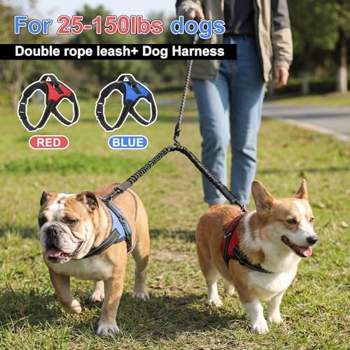 3 Pcs Double Dog Leash No Pull Dog Harness 360° Swivel No Tangle Vest Adjustable Dual Leash Reflective Vest Harness Walking Training Lead for Two Small Medium Dogs(M,Chest 20.5"- 24.4") - Image 4