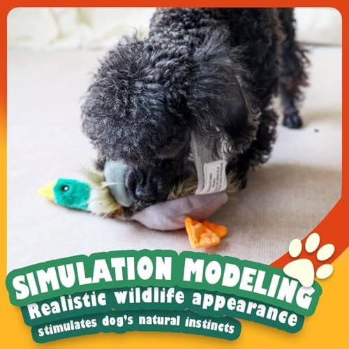 ALL FOR PAWS Duck Squeaky Doy Toy, Duck Dog Toy for Medium Large Breed, Puppy Fetch Toy with Squeaker, Plush Chew Dog Toy, 18 x 9.1 x 3.9 inches, Classic - Mallard L - Image 3