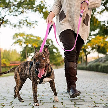 PetiFine 4FT Heavy Duty Dog Leash with Soft Padded Double Handle - Image 6