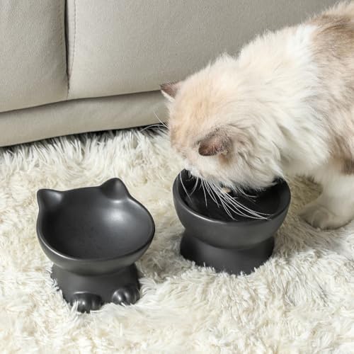 Nihow Elevated Cat Bowls,5 Inch Ceramic Raised Cat Food and Water Bowl Set - Image 6